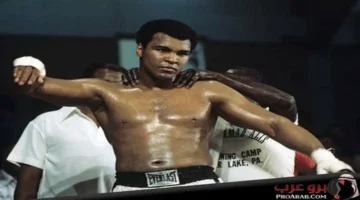 مختار السندي ودرة يتألقان في سيف – فلسطينيو48 بمستوى لافت